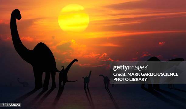 stockillustraties, clipart, cartoons en iconen met artwork of sauropod dinosaurs at sunset - trias