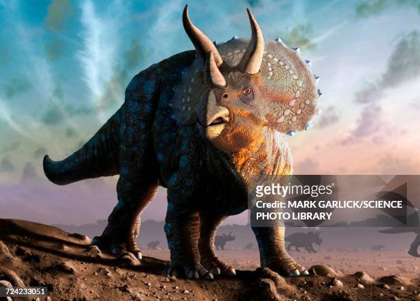 artwork of a triceratops - dinosaur stock-grafiken, -clipart, -cartoons und -symbole