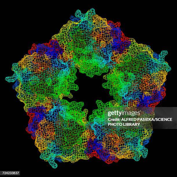 Complement Protien Model Complement System Photos and Premium High Res Pictures - Getty Images