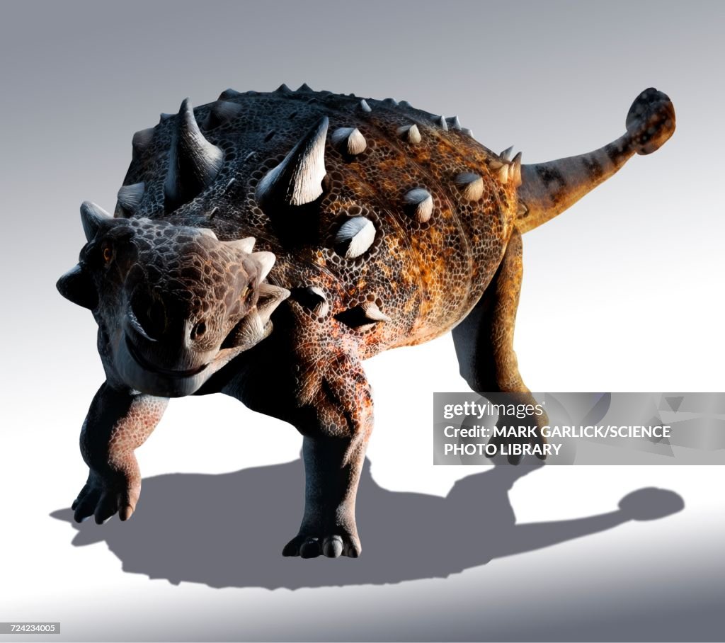 Artwork of Euoplocephalus dinosaur