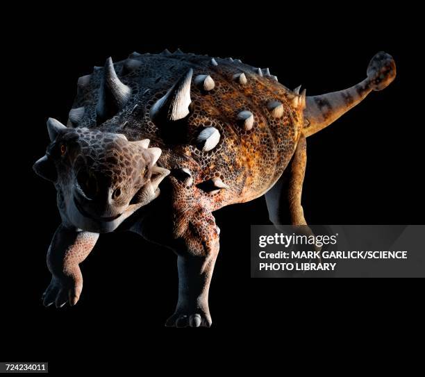 Struthiosaurus Dinosaur Armor Stock-Fotos und Bilder - Getty Images