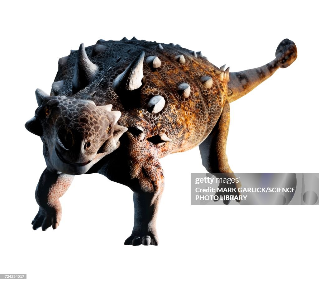 Artwork of Euoplocephalus dinosaur