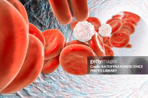 blood cells, illustration - arterioles stock illustrations