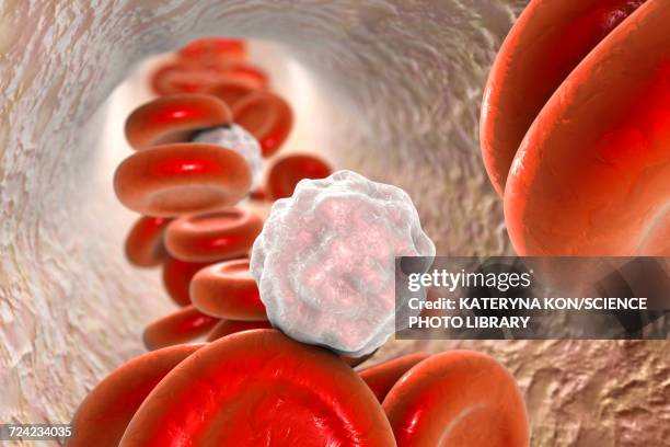 stockillustraties, clipart, cartoons en iconen met blood cells, illustration - menselijke slagader