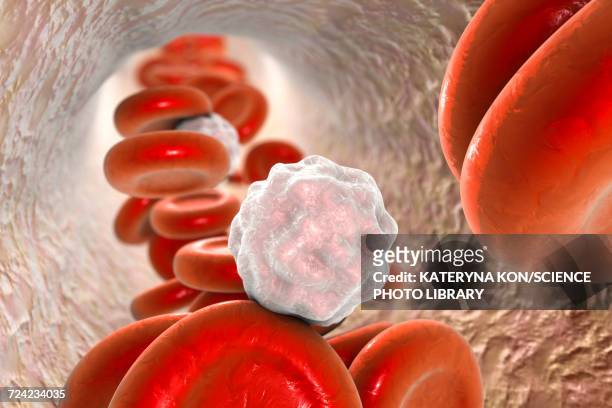 blood cells, illustration - human artery stock illustrations