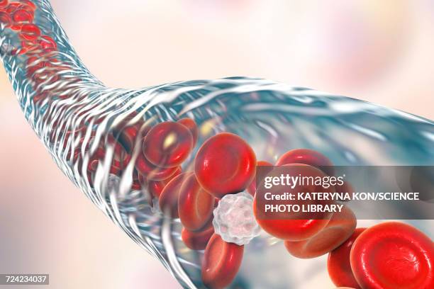 blood vessel with blood cells, illustration - arterioles stock illustrations