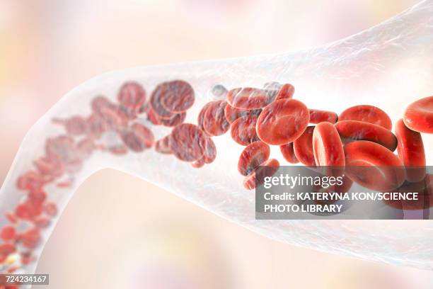 blood vessel with blood cells, illustration - blutzellen stock-grafiken, -clipart, -cartoons und -symbole