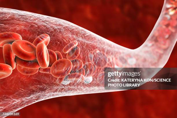 blood vessel with blood cells, illustration - arterioles stock illustrations