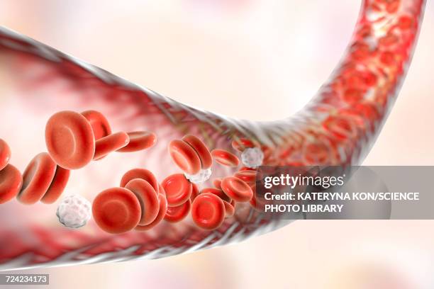 blood vessel with blood cells, illustration - arterioles stock illustrations