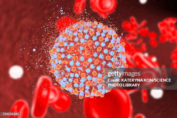 bildbanksillustrationer, clip art samt tecknat material och ikoner med destruction of hepatitis c virus, illustration - hepatitis c