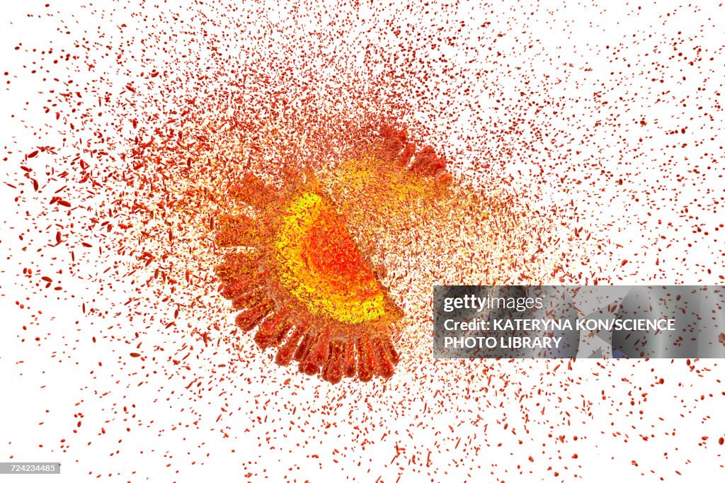 Destruction of HIV, illustration