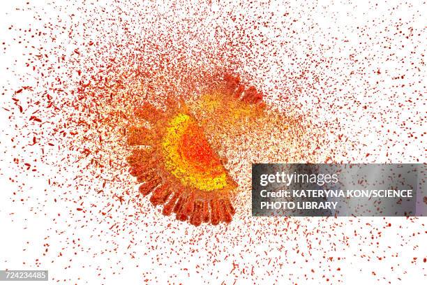 destruction of hiv, illustration - protein coat stock illustrations