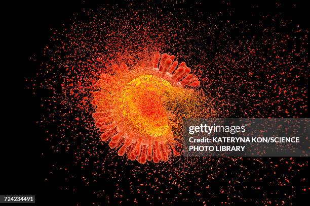 destruction of hiv, illustration - virus organism stock illustrations