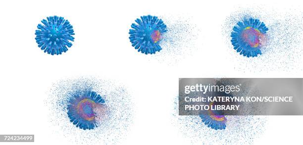 destruction of hiv, illustration - protein coat stock illustrations