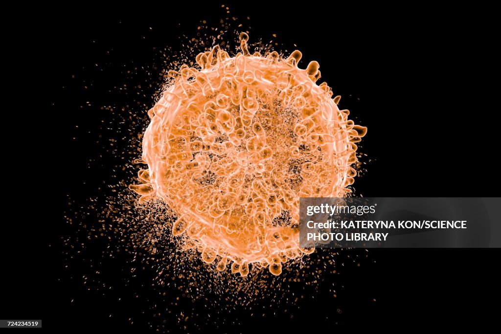 Destruction of leukaemia blood cell, illustration