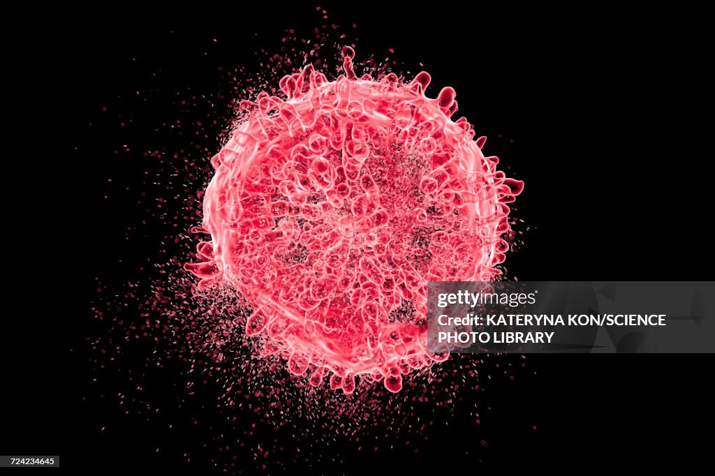 Destruction of leukaemia blood cell, illustration