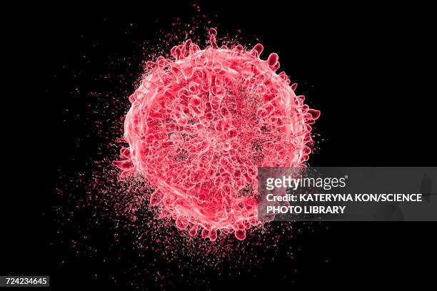 destruction of leukaemia blood cell, illustration - biological cell stock illustrations