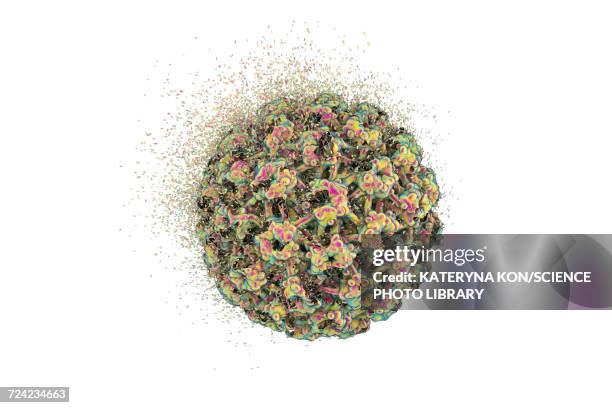 destruction of human papilloma virus, illustration - protein coat stock illustrations