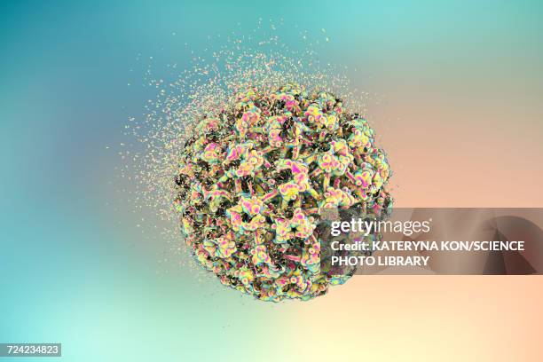 destruction of human papilloma virus, illustration - protein coat stock illustrations