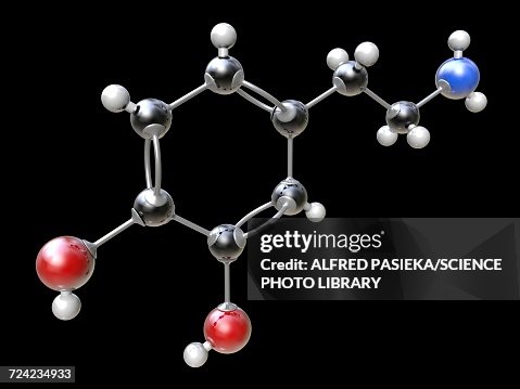 Dopamine organic compound molecule Dopamine organic compound molecule