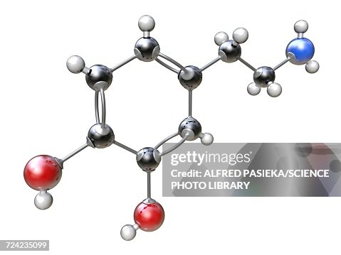 Dopamine organic compound molecule Dopamine organic compound molecule
