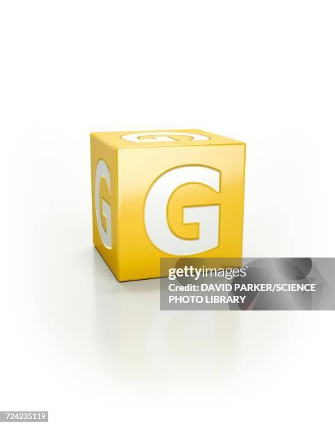 G Block G Block Photos and Premium High Res Pictures - Getty Images