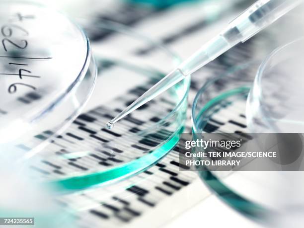 genetics research - dna radiogram bildbanksfoton och bilder