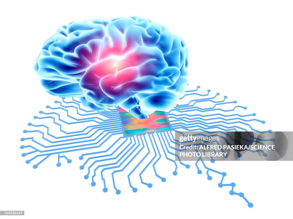 Brain Shaped Circuit Board And Brain High-Res Vector Graphic - Getty Images
