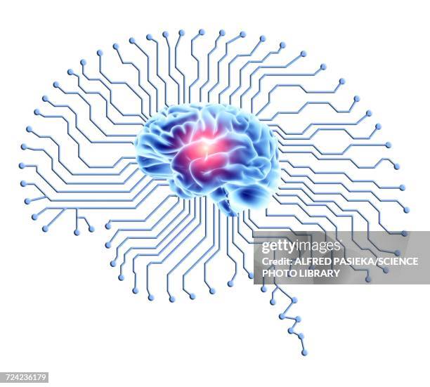 illustrations, cliparts, dessins animés et icônes de human brain on brain-shaped circuit board - cerveau fond blanc