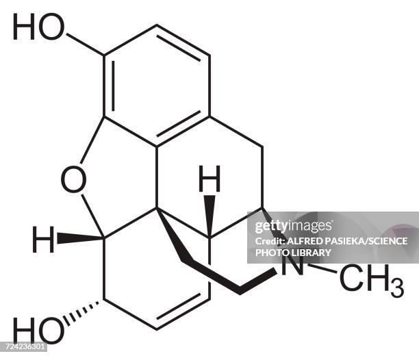 morphine drug molecule, skeletal formula - opioids stock illustrations
