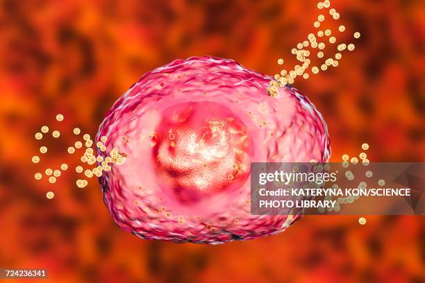 mast cell releasing histamine, illustration - mast cell stock illustrations