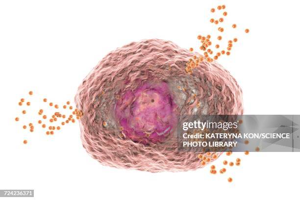 mast cell releasing histamine, illustration - mastocyte stock illustrations