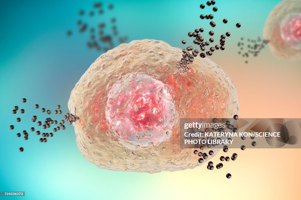 Mast cell releasing histamine, illustration