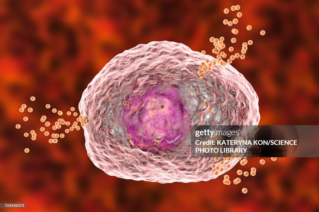 Mast cell releasing histamine, illustration