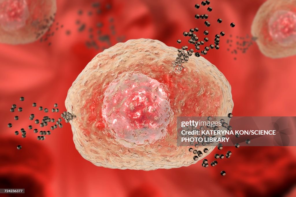 Mast cell releasing histamine, illustration
