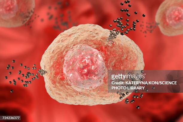 mast cell releasing histamine, illustration - mastocyte stock illustrations