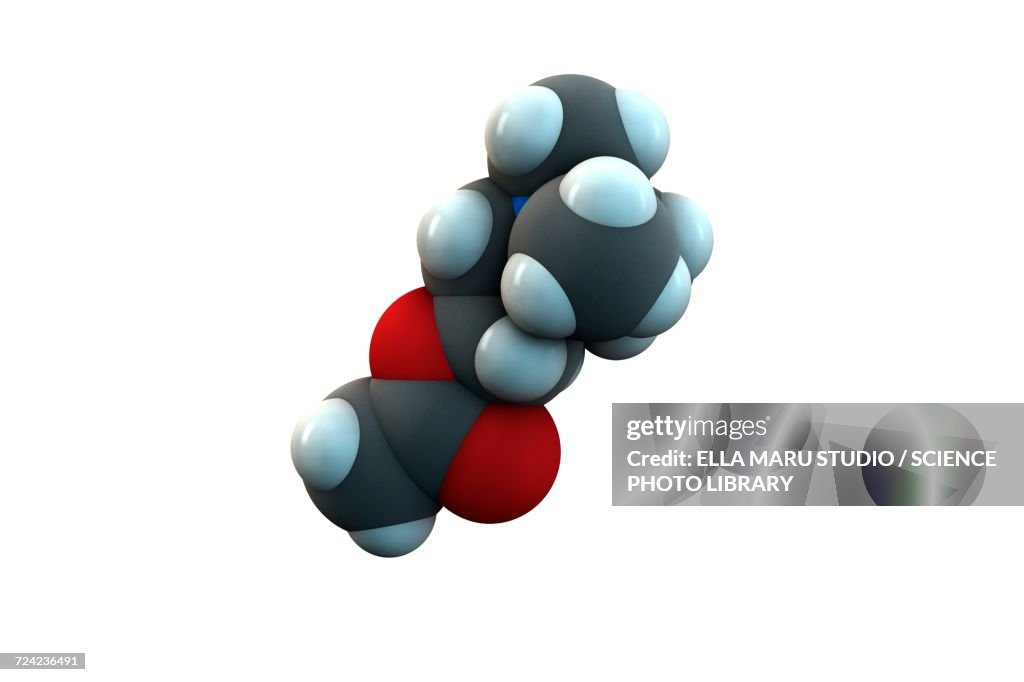 Acetylcholine molecule