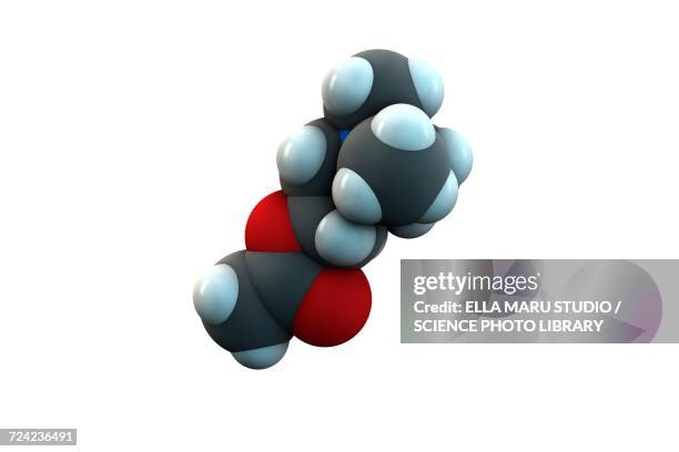 acetylcholine molecule - acetylcholine stock illustrations