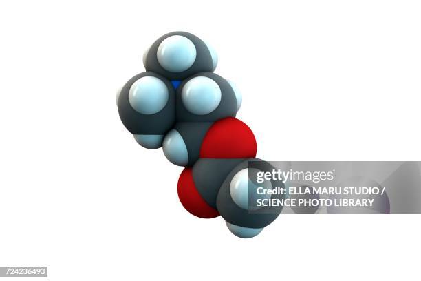 acetylcholine molecule - acetylcholine stock illustrations