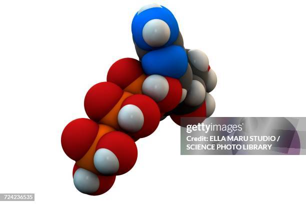 adenosine triphosphate molecule - nitrogen gas stock illustrations
