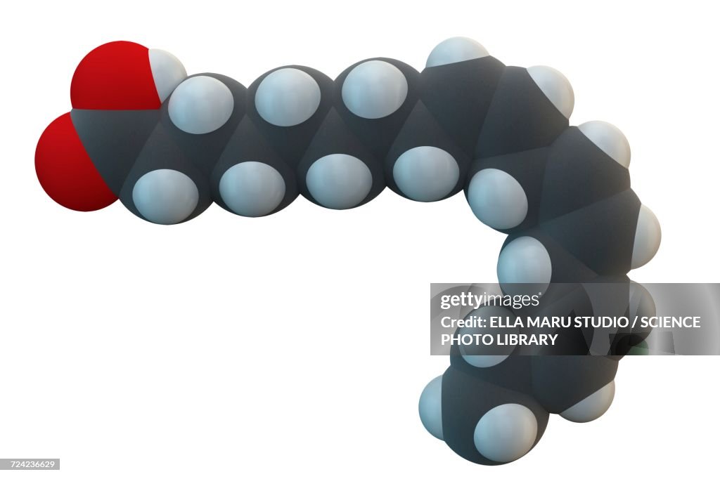 Alpha-linolenic acid molecule