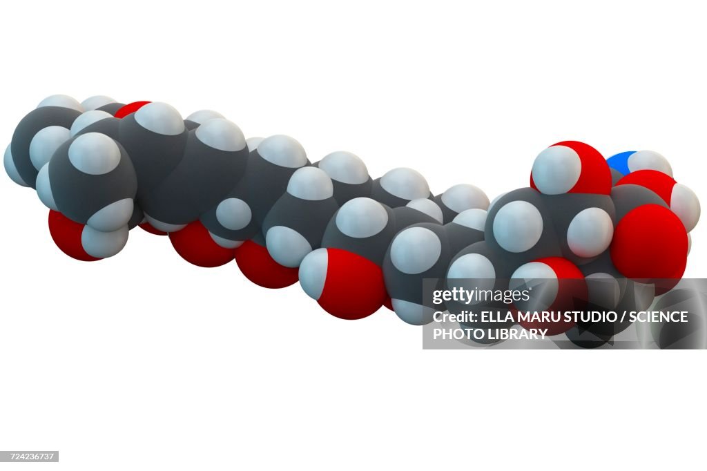 Amphotericin B antifungal drug molecule