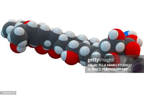 amphotericin b antifungal drug molecule - liposome stock illustrations