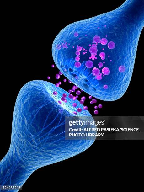 synapse illustration - receptor stock illustrations