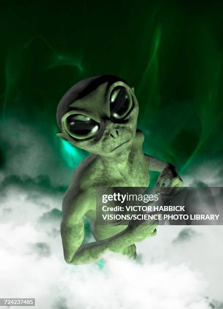 stockillustraties, clipart, cartoons en iconen met alien - alien