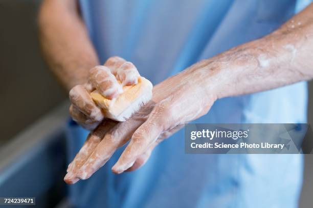 doctor scrubbing hands with brush - doctor scrubs stock pictures, royalty-free photos & images