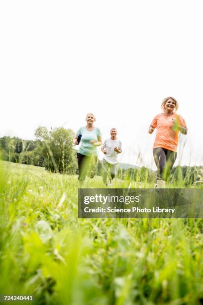 three people running in field - 3 old men jogging stock-fotos und bilder