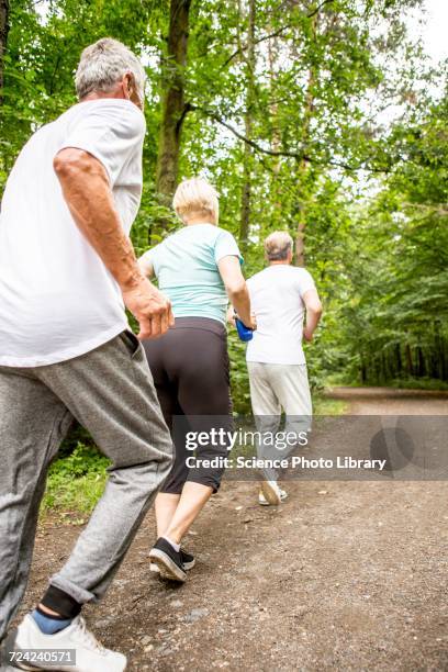 three people running on track in woods - 3 old men jogging stock pictures, royalty-free photos & images