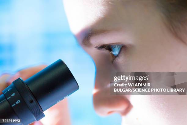 scientist using microscope - microscope fotografías e imágenes de stock