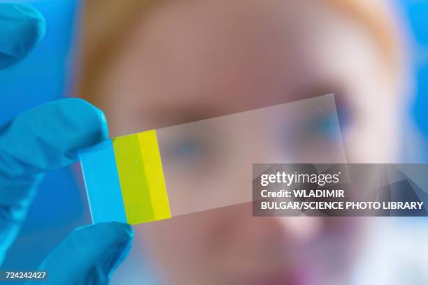 scientist examining microscope slide - microscope slide stock pictures, royalty-free photos & images
